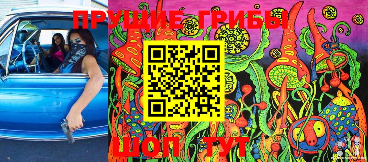 Псилоцибиновые грибы Psilocybe  Вход с VPN  Свободный  Псилоцибиновые грибы MAGIC MUSHROOMS 